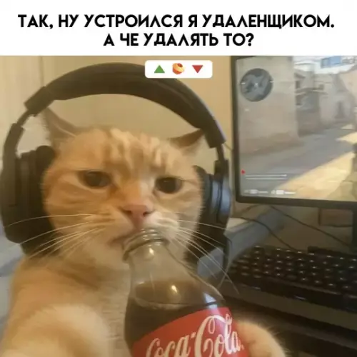 Зарядка позитивом: мемы и картинки против понедельничной хандры