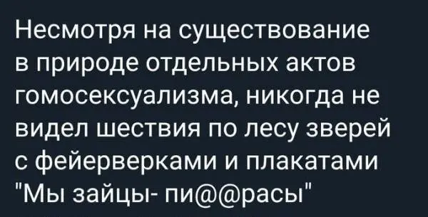 Зарядка позитивом: мемы и картинки против понедельничной хандры