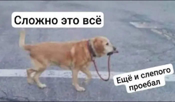 Зарядка позитивом: мемы и картинки против понедельничной хандры