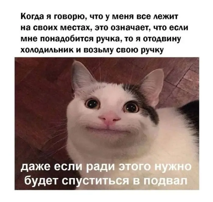 Зарядка позитивом: мемы и картинки против понедельничной хандры