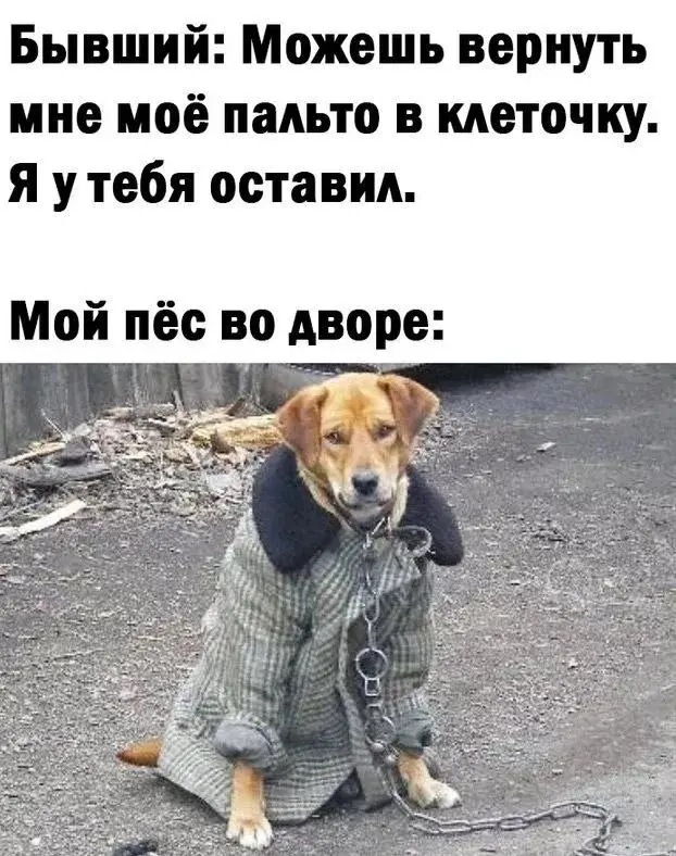 Зарядка позитивом: мемы и картинки против понедельничной хандры