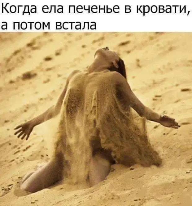 Сборник свежих анекдотов и шуток