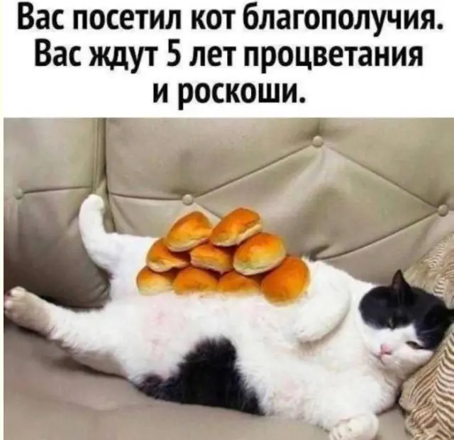 Смешные картинки для отличного начала недели