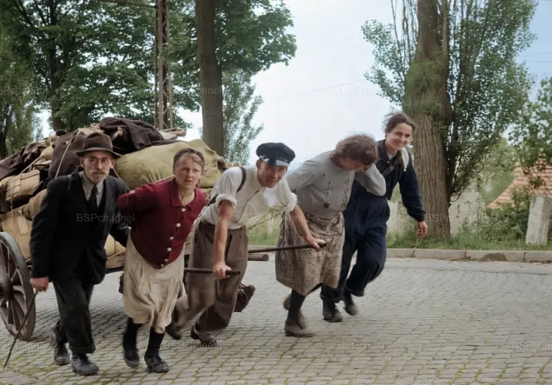 Немецкие беженцы возвращаются домой