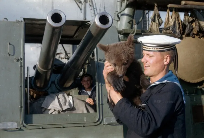 Юнга с медвежонком в Севастополе