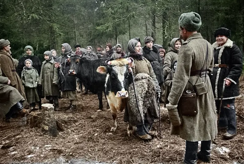 Партизанский колхоз в лесу