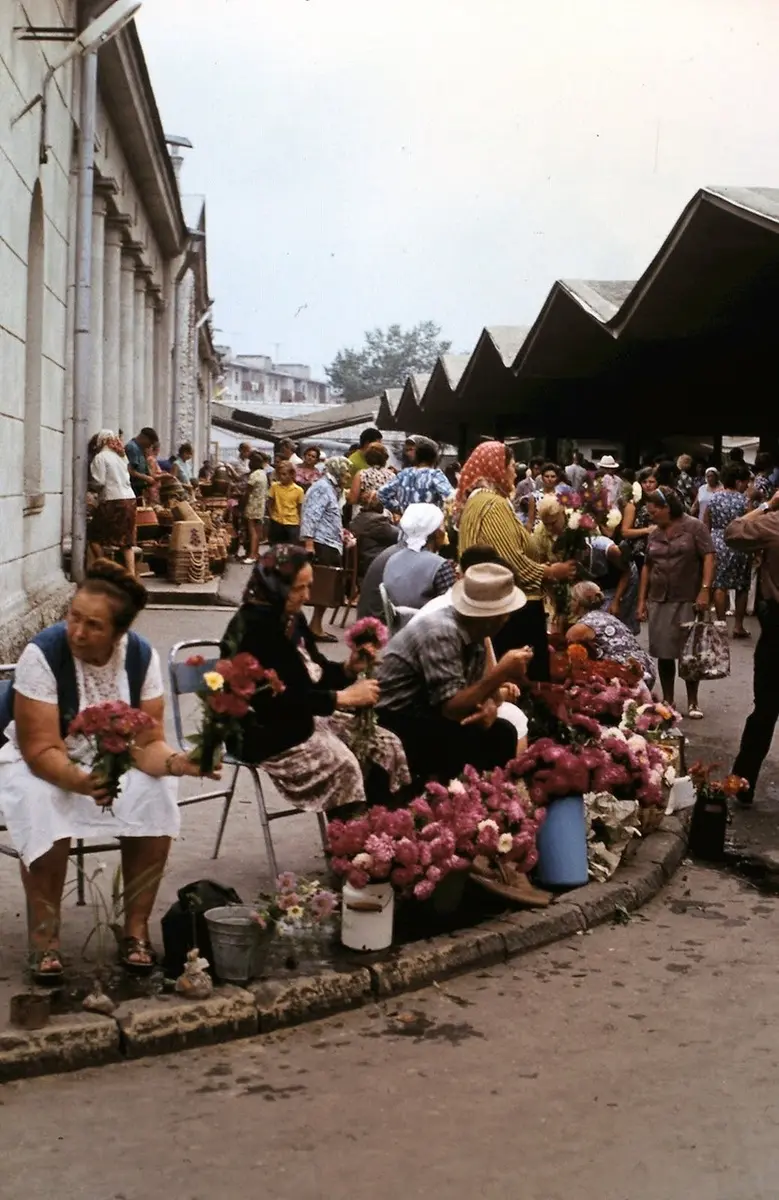 Торговля цветами в Сочи