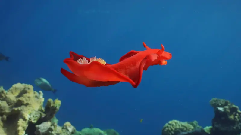 Яркий испанский танцор на дне