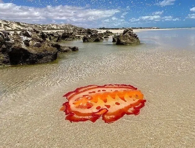 Испанский танцор на песке