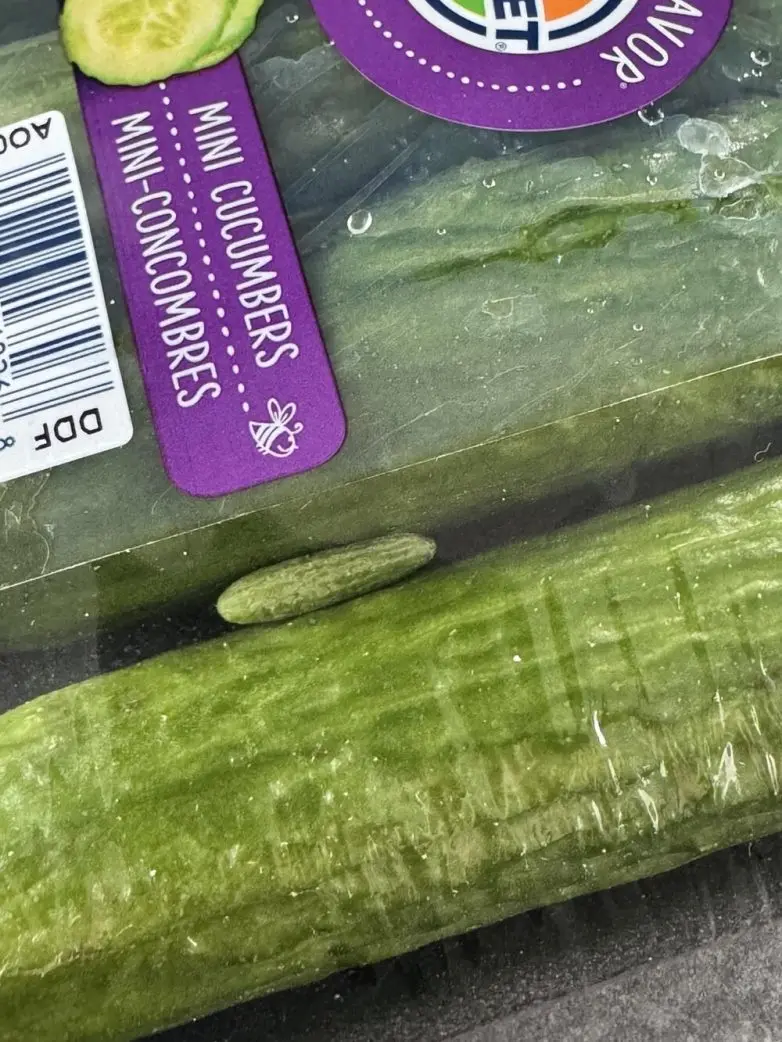 30 неожиданных находок, которые заставят вас взглянуть на мир иначе