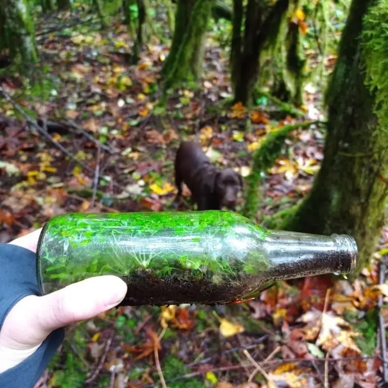 30 неожиданных находок, которые заставят вас взглянуть на мир иначе