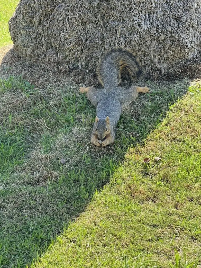 30 неожиданных находок, которые заставят вас взглянуть на мир иначе