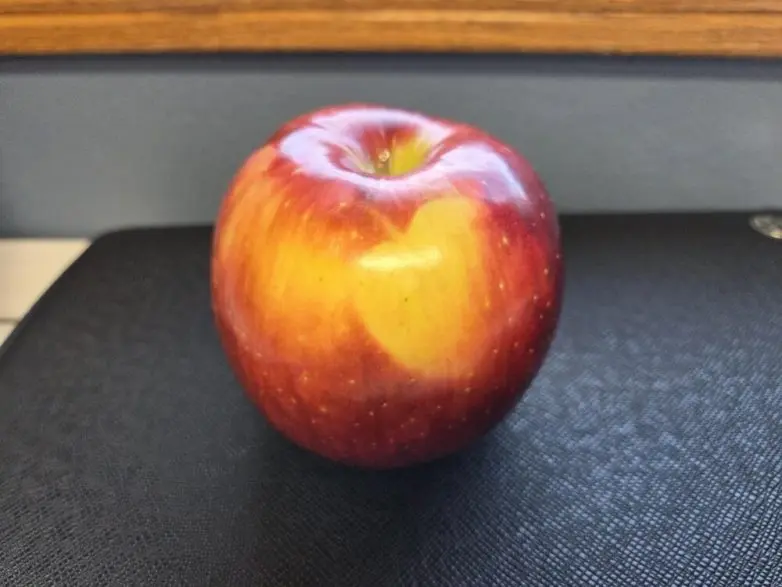 30 неожиданных находок, которые заставят вас взглянуть на мир иначе