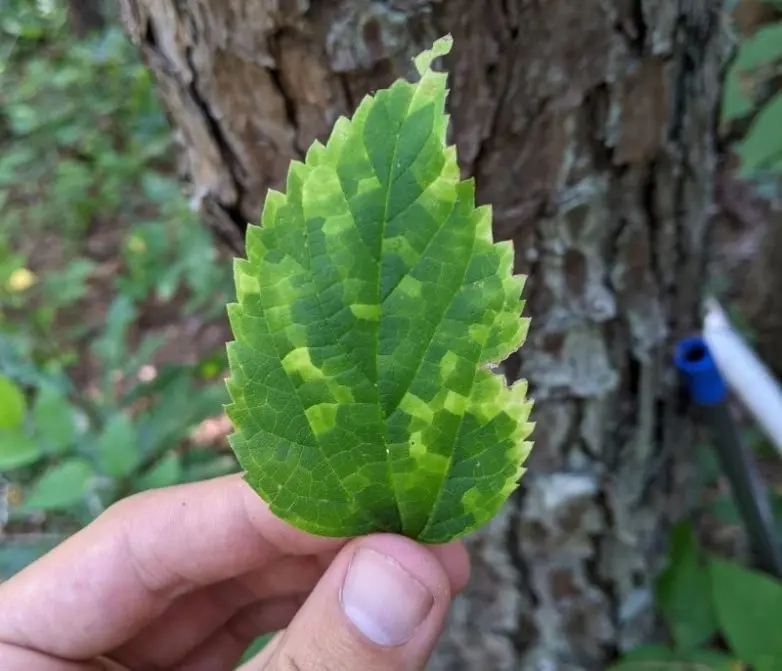30 неожиданных находок, которые заставят вас взглянуть на мир иначе