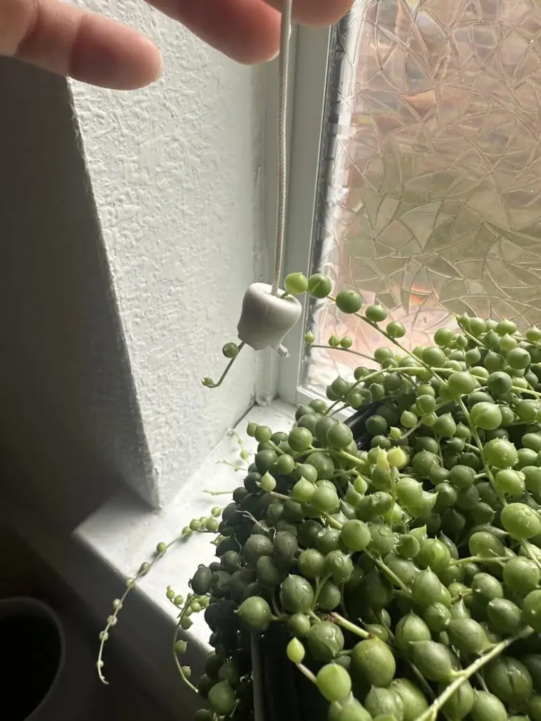 30 неожиданных находок, которые заставят вас взглянуть на мир иначе