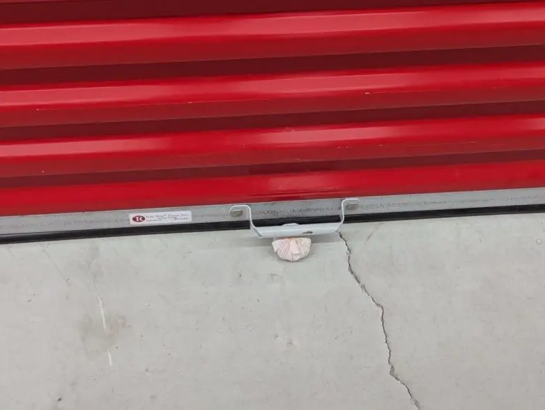 30 неожиданных находок, которые заставят вас взглянуть на мир иначе