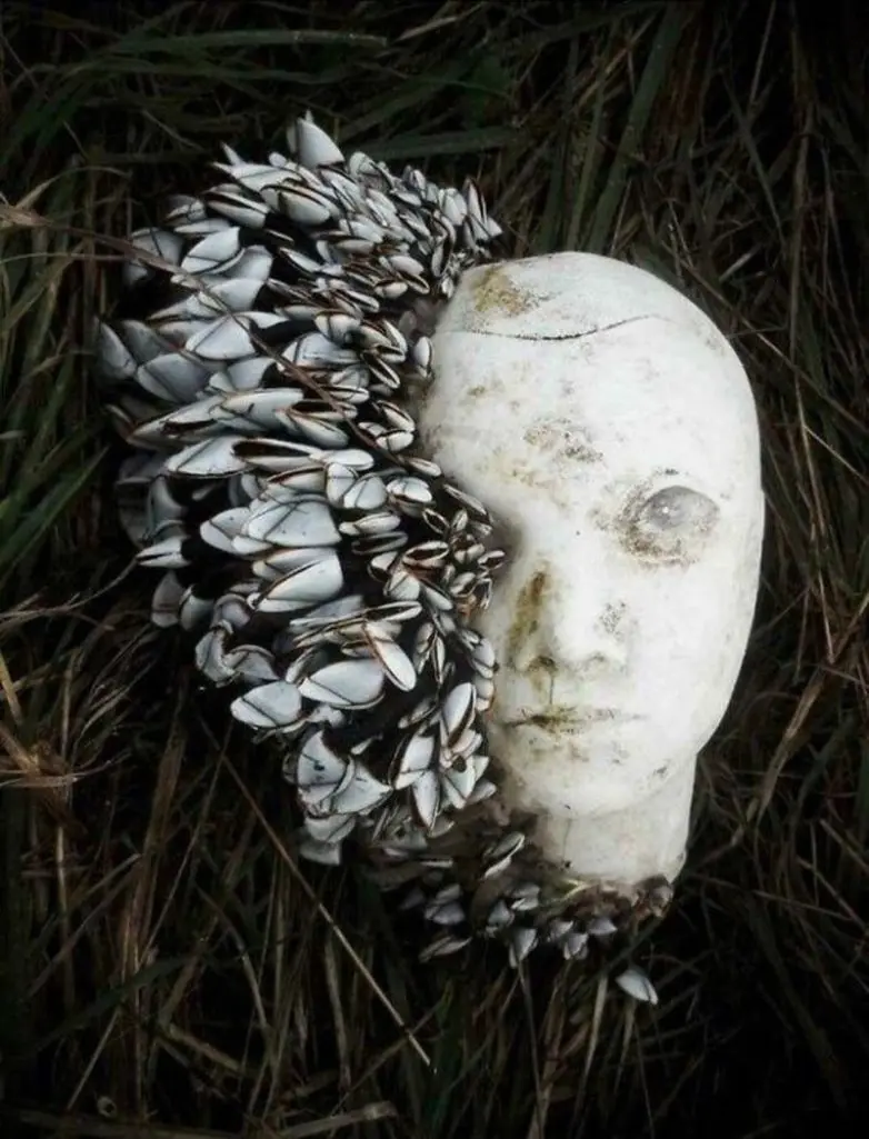 30 неожиданных находок, которые заставят вас взглянуть на мир иначе