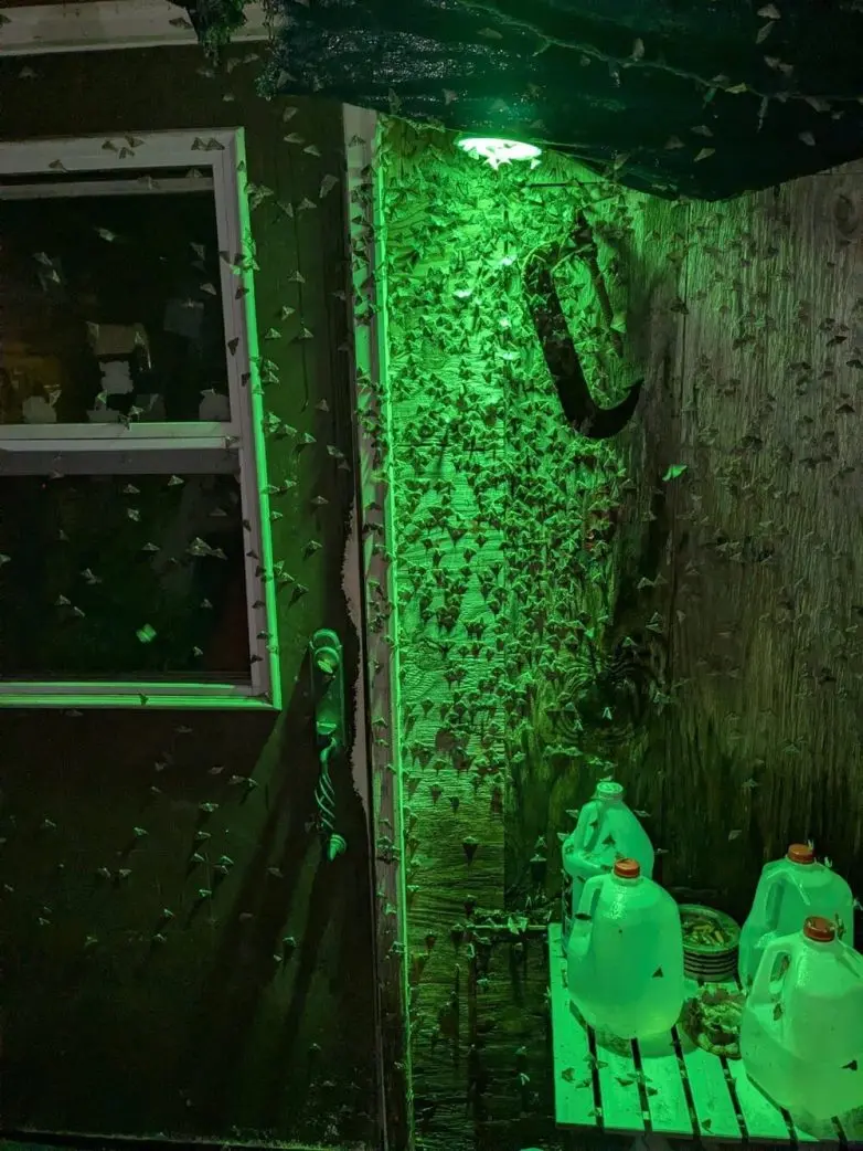 30 неожиданных находок, которые заставят вас взглянуть на мир иначе