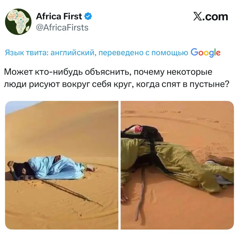 Зачем в пустыне рисуют круг вокруг себя и кладут трость? Разгадка вирусной загадки