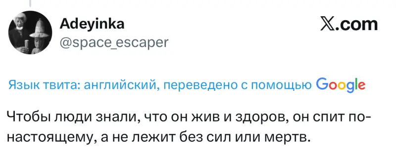 Зачем в пустыне рисуют круг вокруг себя и кладут трость? Разгадка вирусной загадки