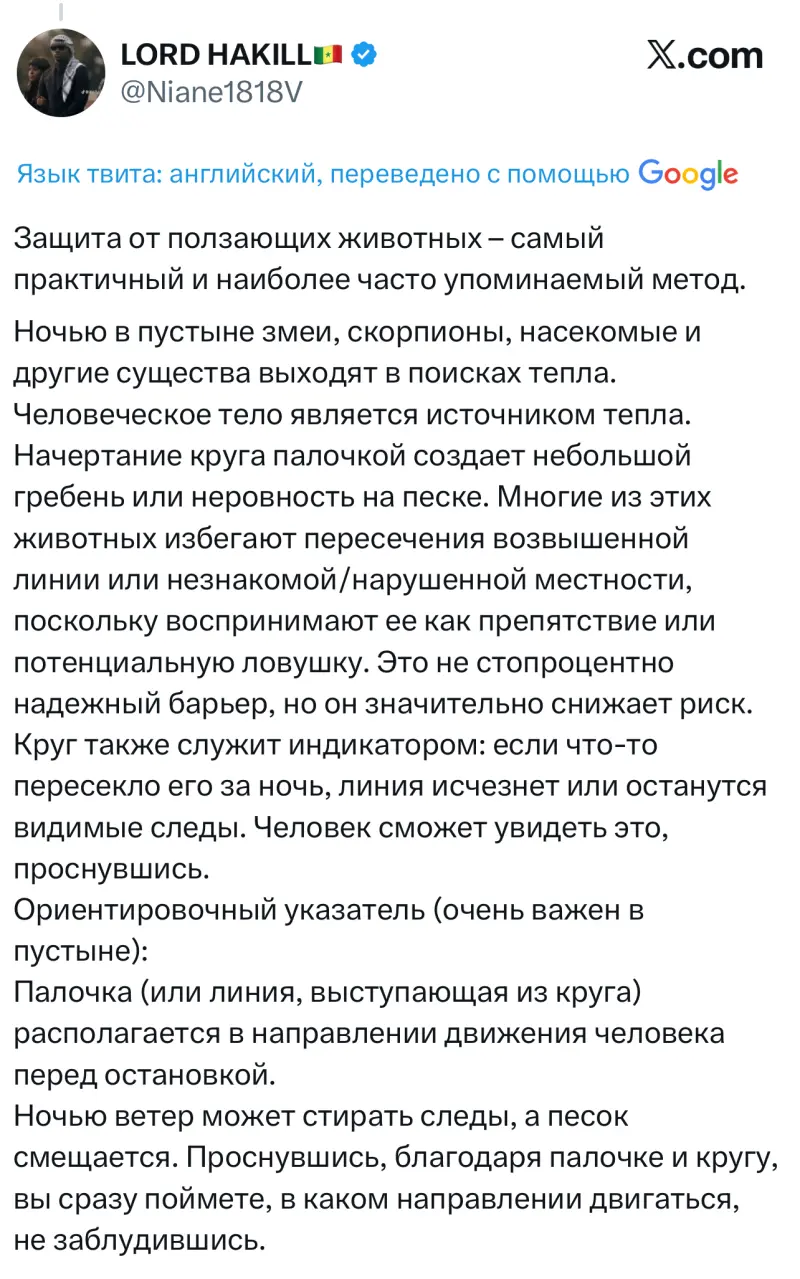 Зачем в пустыне рисуют круг вокруг себя и кладут трость? Разгадка вирусной загадки