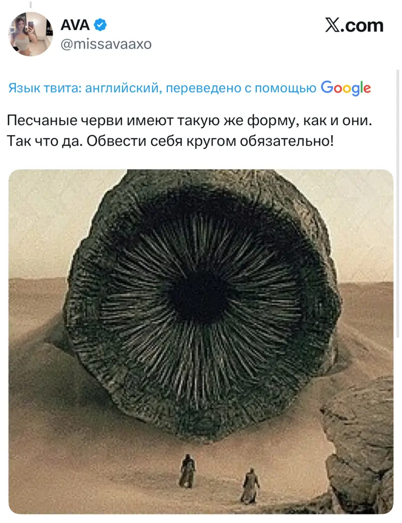 Зачем в пустыне рисуют круг вокруг себя и кладут трость? Разгадка вирусной загадки