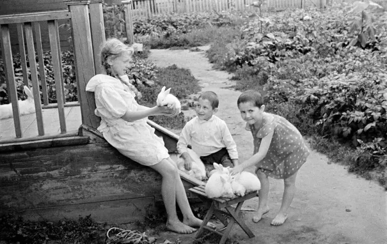 Советская эпоха в объективе Семёна Фридлянда