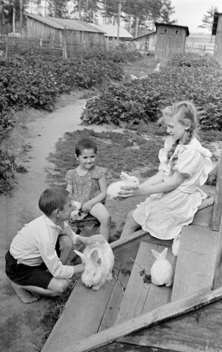 Советская эпоха в объективе Семёна Фридлянда