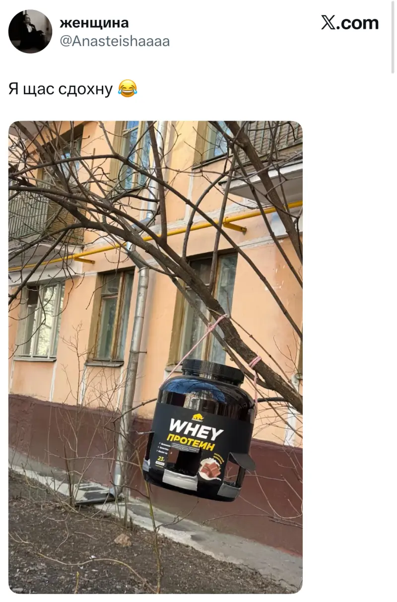 Лучшие шутки дня из заблокированного X (Twitter)