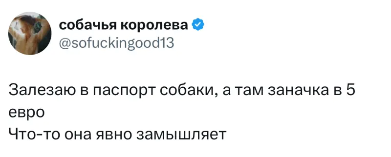 Лучшие твиты месяца из заблокированного X (Twitter)