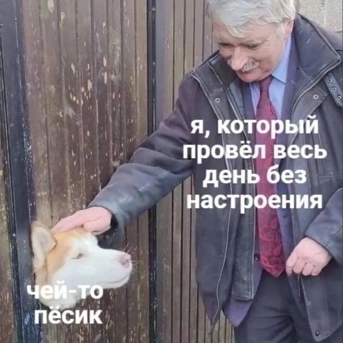 Свежая порция юмора: мемы для отличного настроения