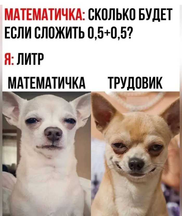 Ваша личная порция позитива: мемы и картинки для отличного настроения