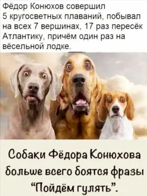 Когда папа нашёл выход: неожиданный поворот в истории о беременности дочери