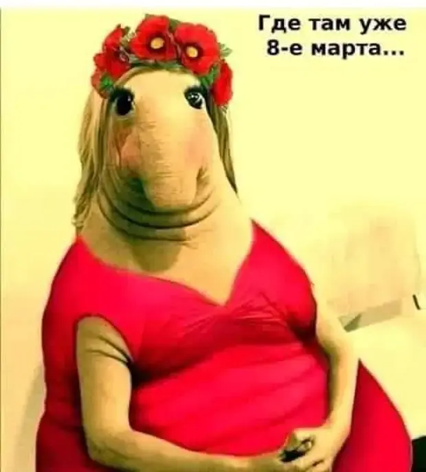 Свежая порция юмора: анекдоты на все случаи жизни