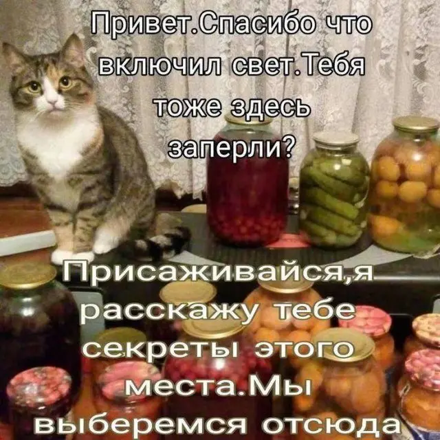 Встречаем лето: как улучшить настроение и подготовить тело к теплому сезону