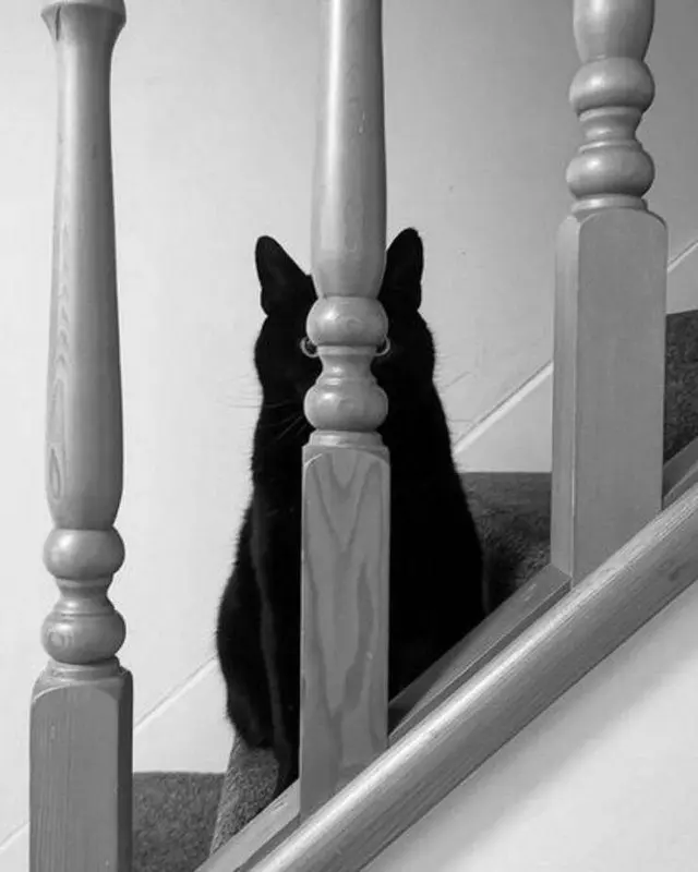 Вечерняя подборка забавных картинок