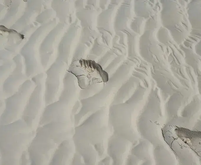 Кайли Дженнер и Тимоти Шаламе отдыхают на уединённом острове