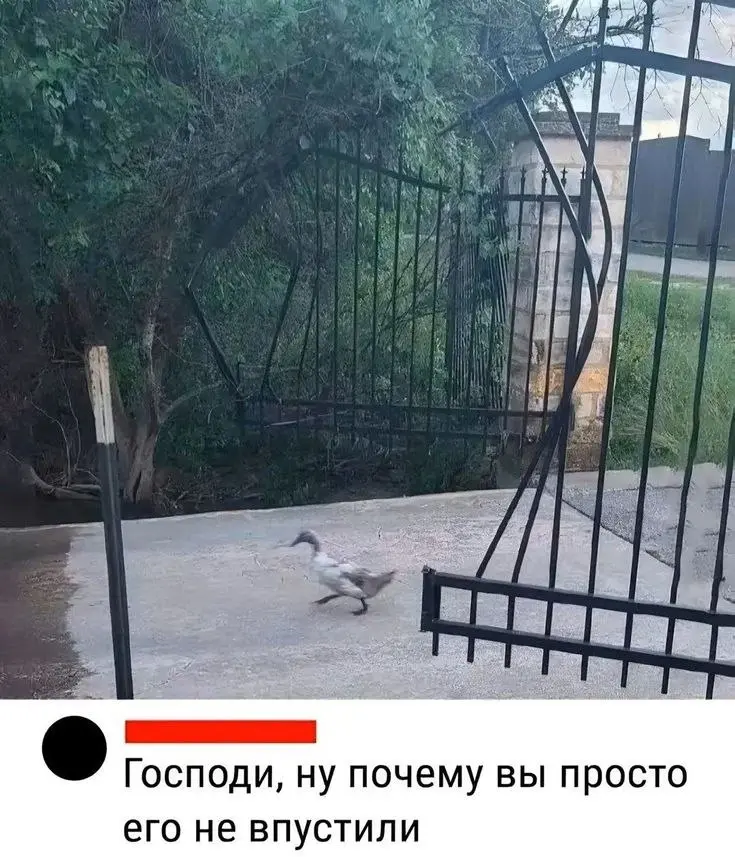 Лица и быт ушедшей эпохи: ретро-фотографии из прошлого