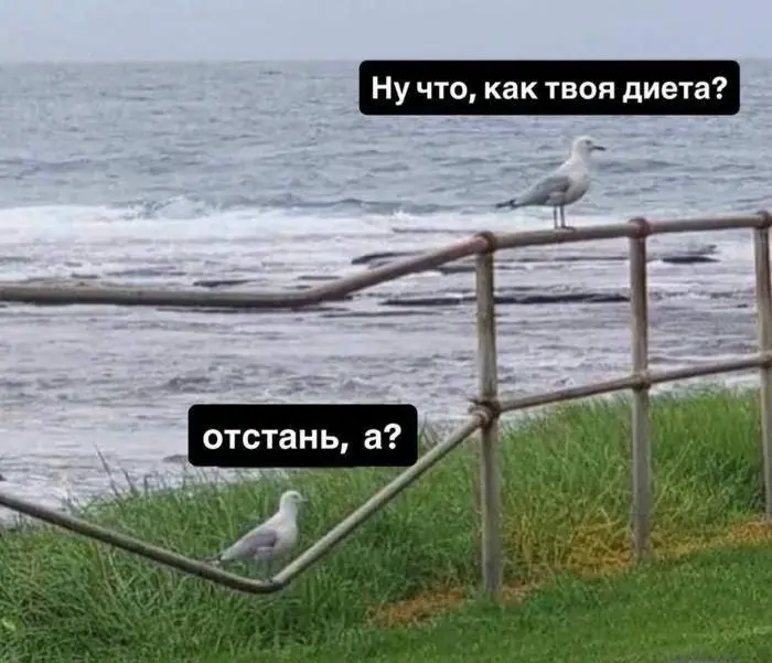 Лица и быт ушедшей эпохи: ретро-фотографии из прошлого