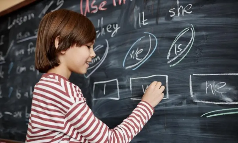 Второй иностранный язык в школе: не обязательный, а добровольный