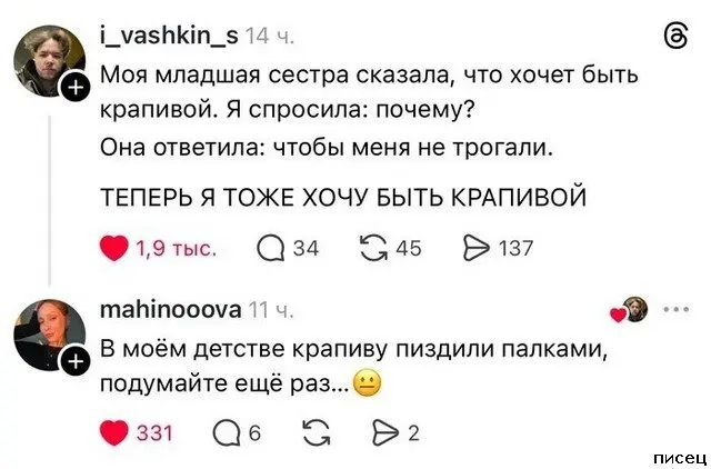 Смех сквозь экран: самые забавные комментарии из соцсетей