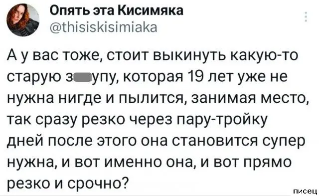 Смех сквозь экран: самые забавные комментарии из соцсетей