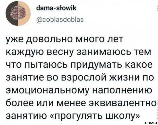 Смех сквозь экран: самые забавные комментарии из соцсетей