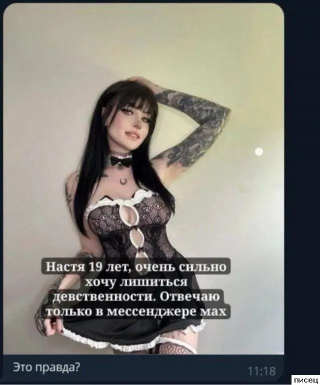 Смех сквозь экран: самые забавные комментарии из соцсетей