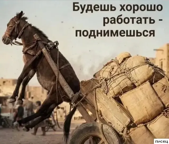 Работа не волк: 20 смешных фото, как коллеги прикалываются на рабочем месте