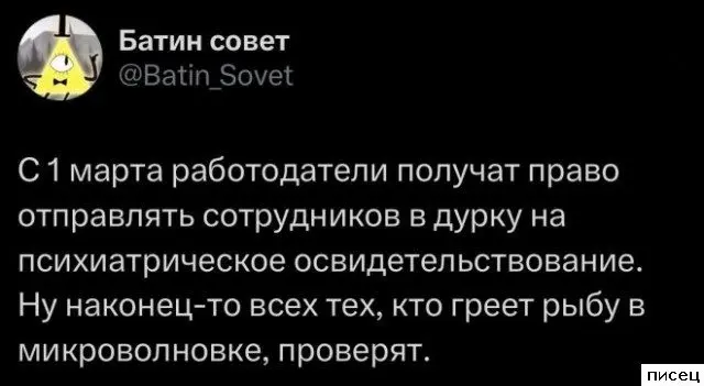 Работа не волк: 20 смешных фото, как коллеги прикалываются на рабочем месте