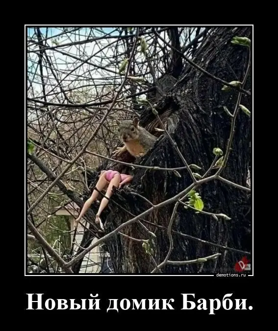 Демотиватор про домик Барби