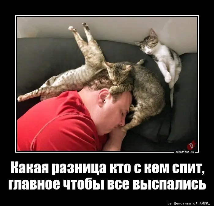 Философский демотиватор