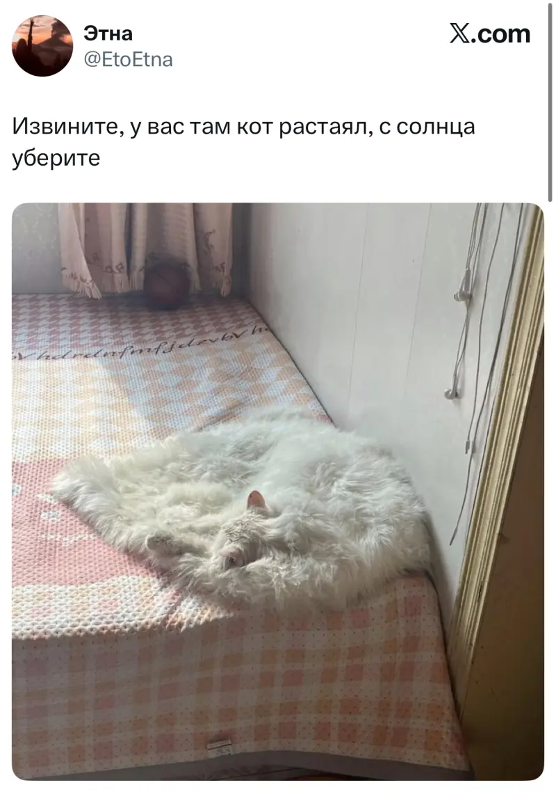 Лучшие шутки дня из X (Twitter)