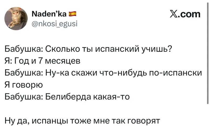 Лучшие шутки дня из X (Twitter)